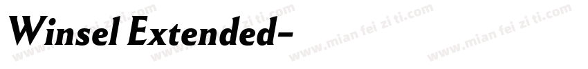 Winsel Extended字体转换